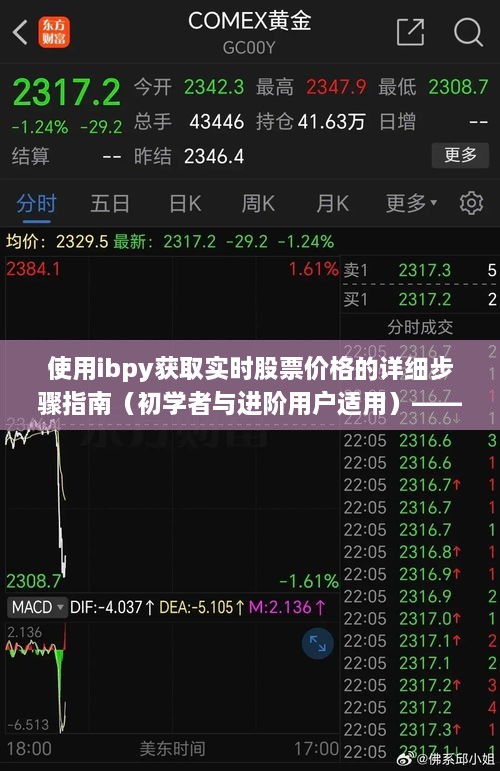 IBpy实时股票获取指南，从初学者到进阶用户的详细步骤（针对2024年12月22日）