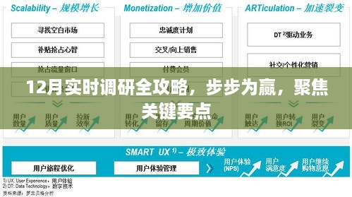 12月调研全攻略，步步为赢，聚焦关键要点，助力实战应用