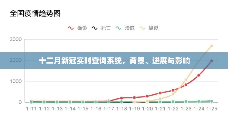 十二月新冠实时查询系统，背景、进展及其影响概览