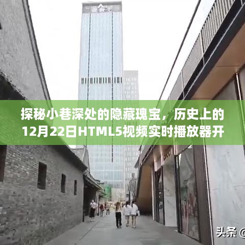 小巷深处的隐藏瑰宝