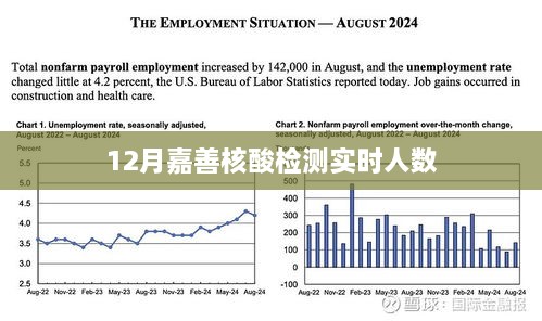 嘉善核酸检测实时人数统计（最新更新）