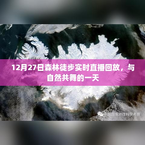 森林徒步直播回放，与自然共舞的一天