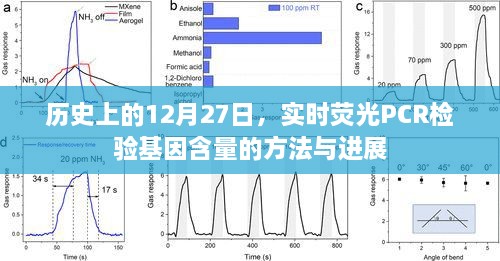 实时荧光PCR检验基因含量的历史进展与最新方法探索