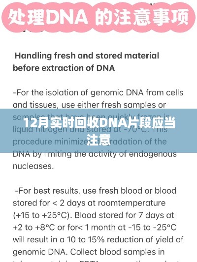 DNA片段回收注意事项，12月实时操作指南