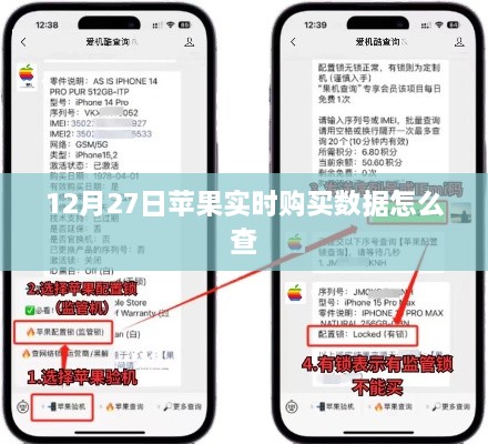 苹果实时购买数据查询攻略
