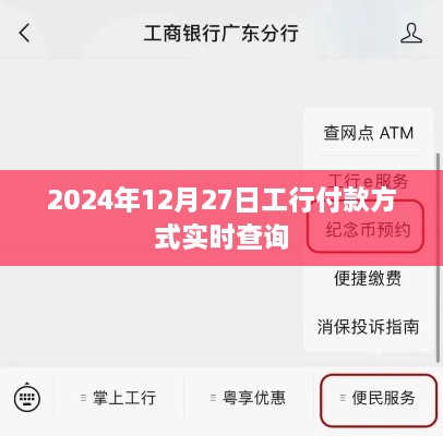 工行实时付款方式查询指南，2024年12月27日更新