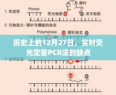 实时荧光定量PCR法的缺点，历史视角的解析