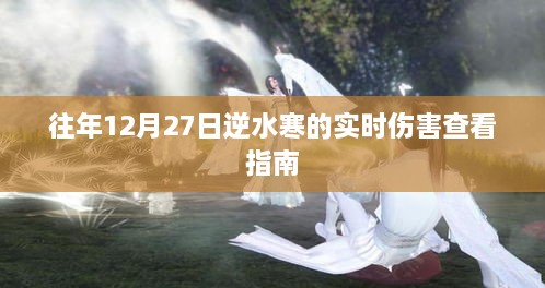 逆水寒实时伤害查看指南，往年12月27日攻略分享