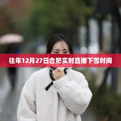 合肥往年12月27日实时直播下雪回顾