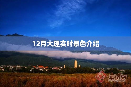 12月大理美景实时赏析