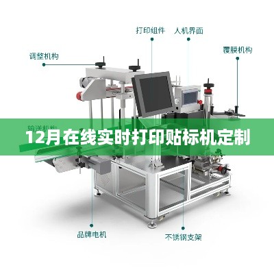 实时打印贴标机定制服务，专业定制满足需求