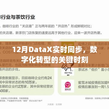 DataX实时同步，数字化转型的关键节点