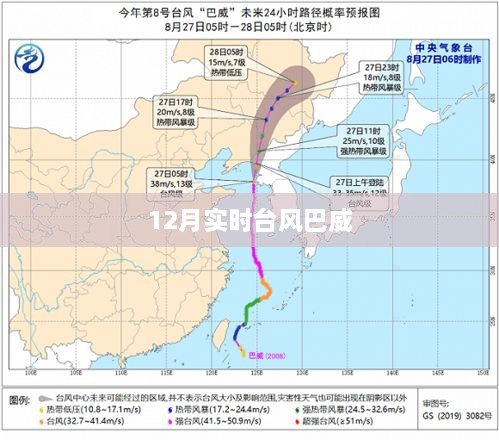 台风巴威最新动态，实时追踪报道来袭