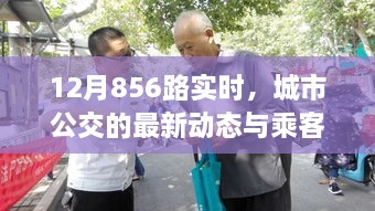 城市公交新动态，12月856路实时运营与乘客体验分享