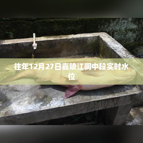 嘉陵江阆中段往年12月27日实时水位报告