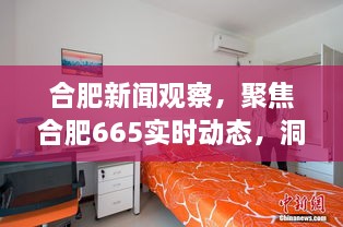 聚焦合肥实时动态，洞察城市发展脉络