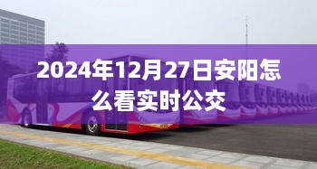 安阳实时公交查询指南，2024年12月27日出行必备