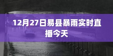 易县暴雨实况直播，今日雨势如何？