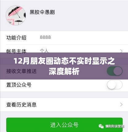 朋友圈动态不实时显示背后的深层原因解析