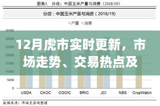 虎市最新动态，市场走势、热点交易与未来展望