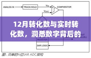 洞悉转化数背后的营销策略，12月转化与实时转化分析