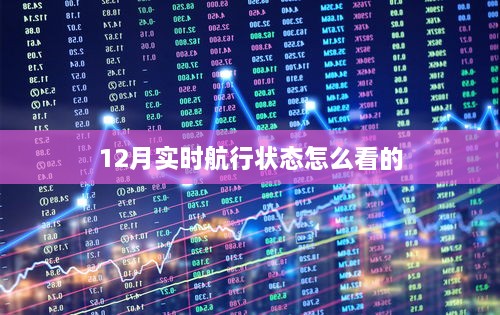 12月实时航行状态查看攻略