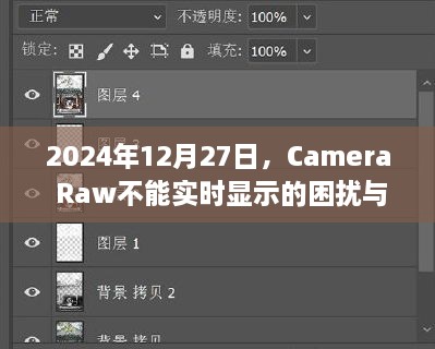 Camera Raw无法实时显示问题解析与解决策略