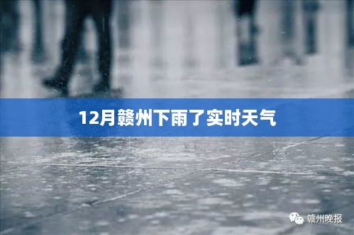 赣州十二月雨落实时天气播报