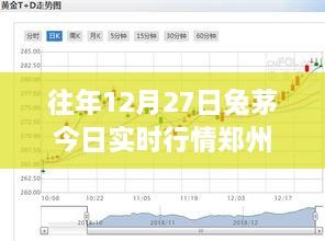 兔茅郑州实时行情，最新市场动态分析