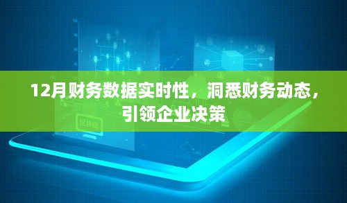 12月财务数据实时洞察，引领企业决策风向标