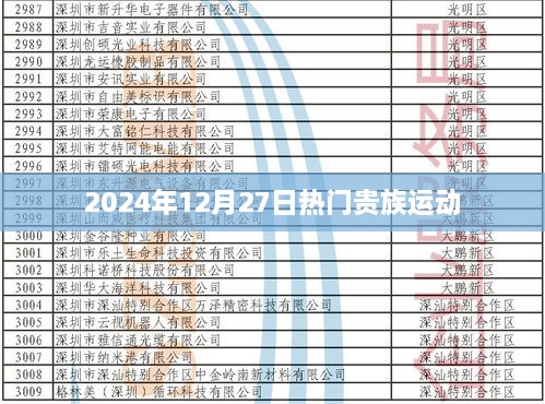 贵族运动风潮，揭秘2024年热点运动盛事