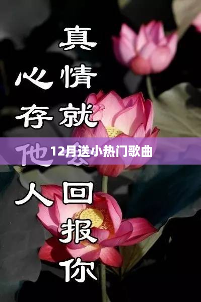 12月热门歌曲精选