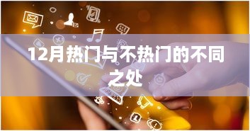 12月热点话题，热门与不热门差异解析