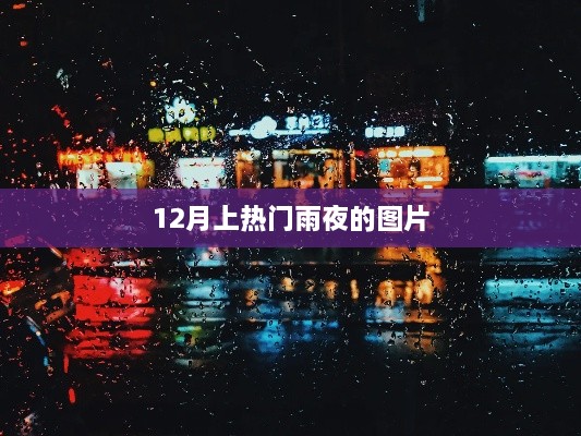 雨夜美景成焦点，深夜雨图受热捧