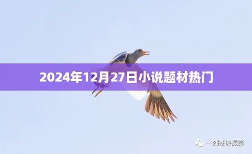 『2024年年末巨献，热门小说题材一览』