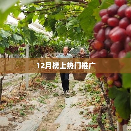 12月热门推广榜单揭晓