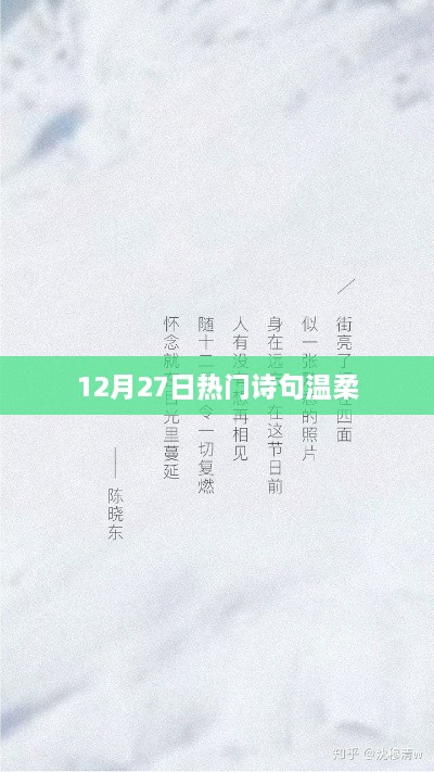 温柔诗句盘点，12月27日精选集萃