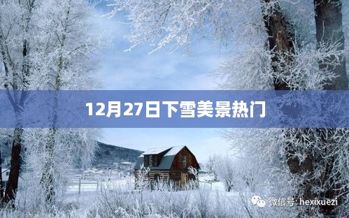 12月27日雪中美景，冬日浪漫时刻