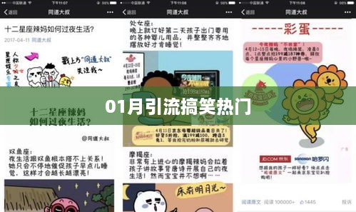 01月引流爆笑来袭，热门内容一网打尽