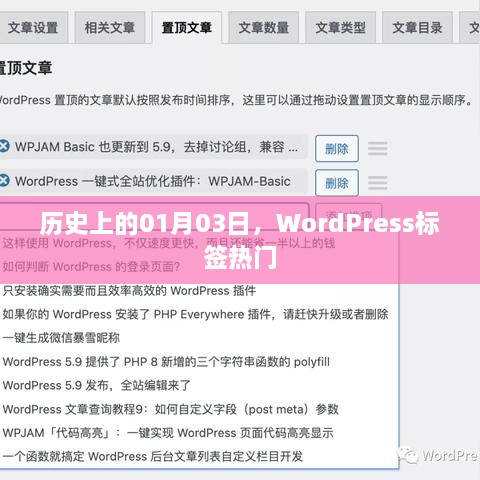 历史上的WordPress标签热门，揭秘一月三日背后的故事