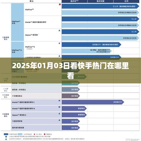 2025年1月3日 第3页