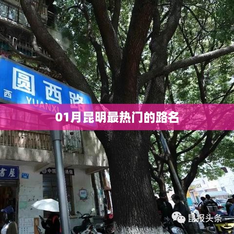 昆明一月份热门路名盘点