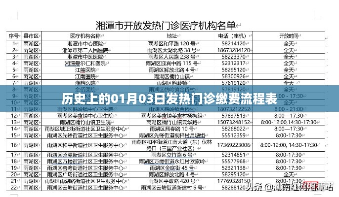 历史视角下的发热门诊缴费流程表，一月三日细节解析