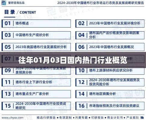 行业概览，历年一月初热门行业动态聚焦