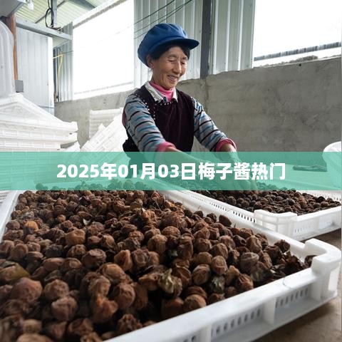 梅子酱引爆热门风潮，2025年1月3日探秘