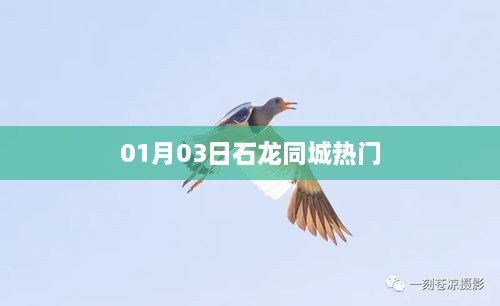 石龙同城热点资讯，最新热门事件 01月03日