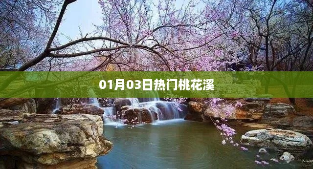 桃花溪1月3日热门事件盘点