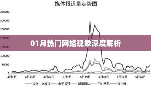 深度解析一月份热门网络现象