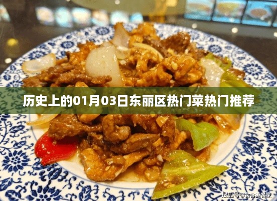 东丽区热门菜推荐，一月三日美食盘点