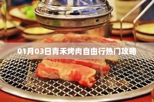 青禾烤肉自由行攻略，热门活动一网打尽